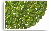 Iran Pistachio, Very green peeled Pistachio Kernel G AA